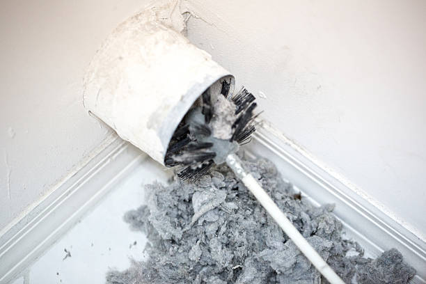 Best Air Duct Mold Removal  in Pocahontas, IA